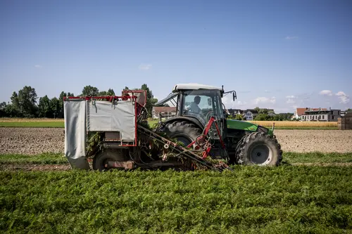 Traktor auf Acker