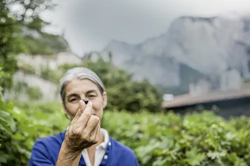 Frau hält Traube zwischen den Fingern