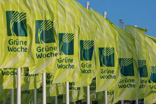 Fahnen Grüne Woche