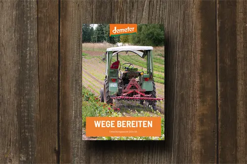 Entwicklungsbericht Cover auf Tisch 2024