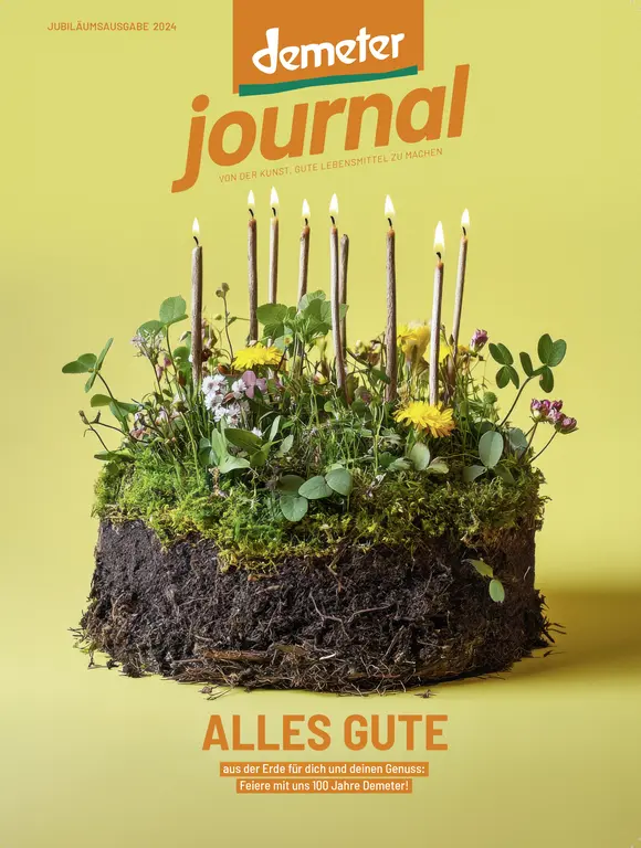 Cover: Geburtstagstorte mit Kerzen aus Erde und Pflanzen